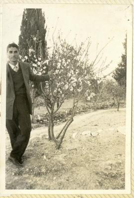 Yasir Jadallah, Sur Baher, 1953 