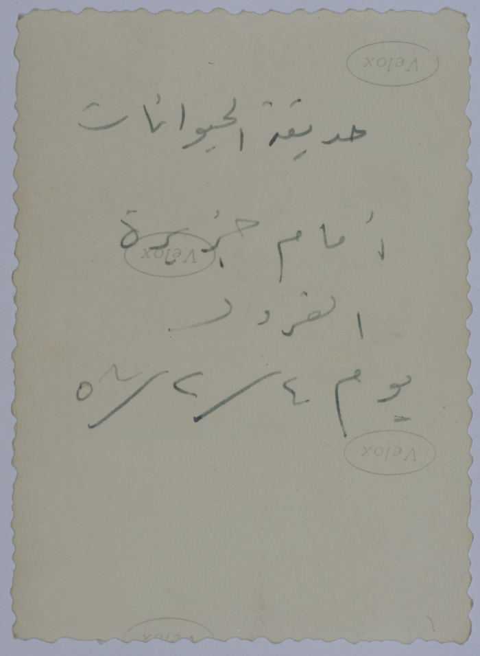 A Photograph of Women at a Zoo, 1956