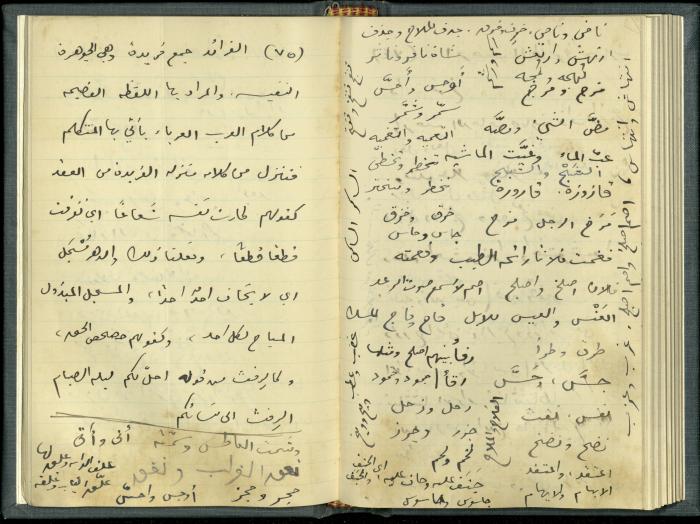 A Book Draft by Khalil Sakakini 
