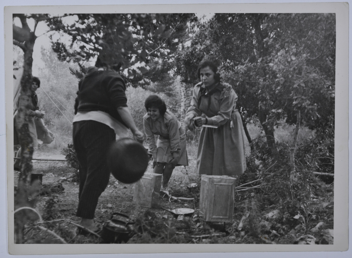Scout Guides Training Camp, Umm Safa, 1964