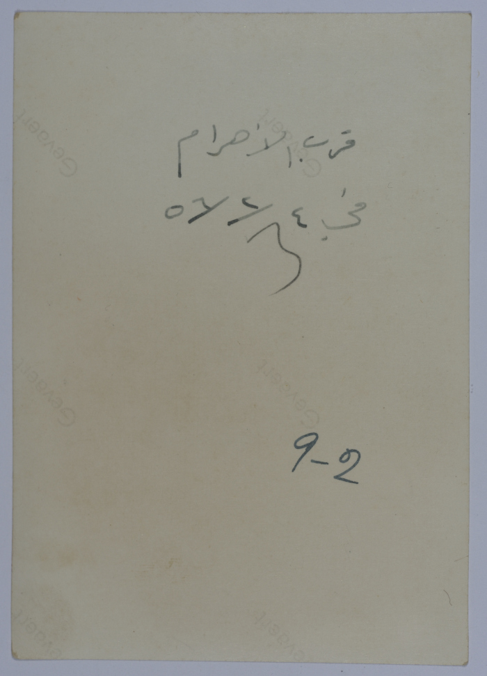 A Photograph of Men and Women, Giza, 1956