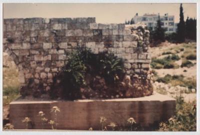 A Photo of Neapolis Hippodrome, 1990s