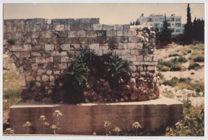 A Photo of Neapolis Hippodrome, 1990s