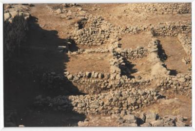 A Photo of the Excavations in Tell Balata, Nablus, 25 February 1995