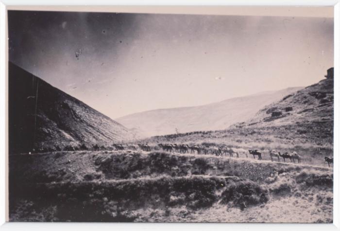 A Photo of a Historical Building in the Old City of Nablus