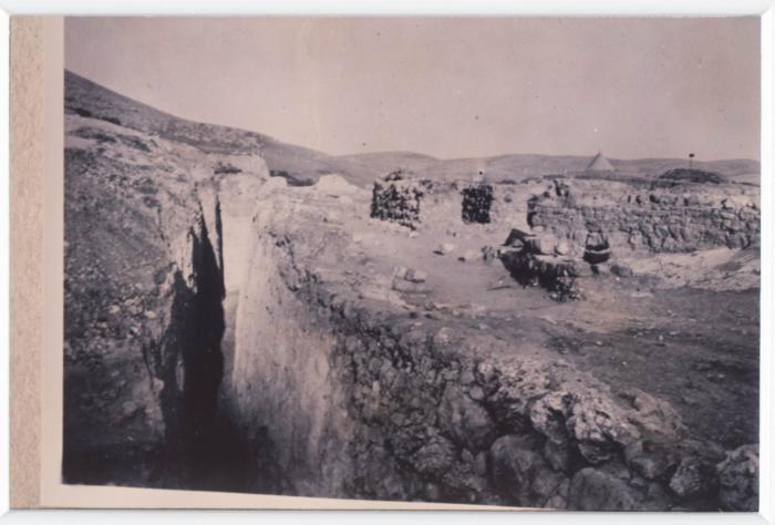 A Photo of an Archaeological Site in Palestine