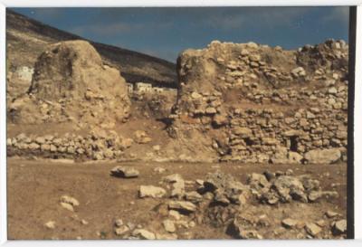 A Photo of an Archaeological Site in Palestine