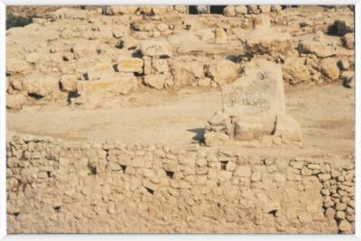 A Photo of the Excavations in Tell Balata, Nablus, the 1990s