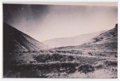 A Photo of a Historical Building in the Old City of Nablus