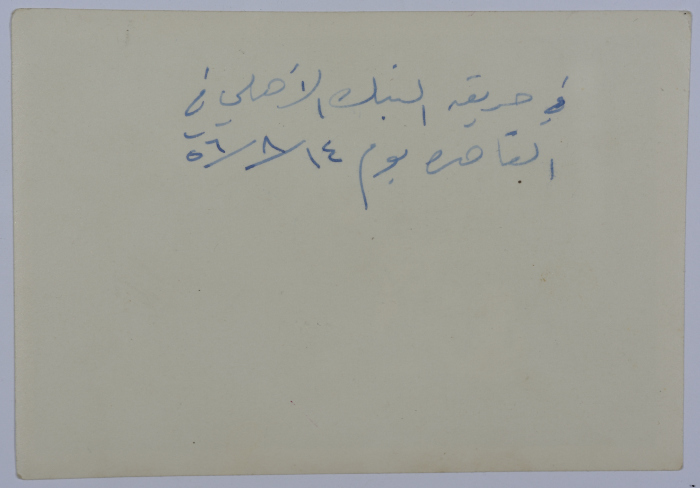 A Photograph of Girls, Cairo, 1956