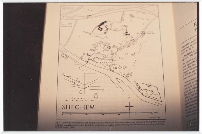 صورة من موقع تل بلاطة الأثري، 1994