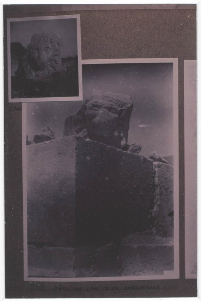 A Photograph of Tell Balata Archaeological Park, 1994

