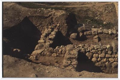 A Photograph of Tell Balata Archaeological Park, 1994
