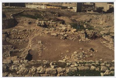 A Photograph of Tell Balata Archaeological Park, 1994
