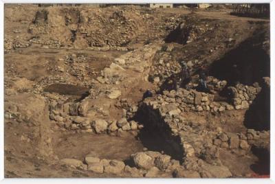 A Photograph of Tell Balata Archaeological Park, 1994
