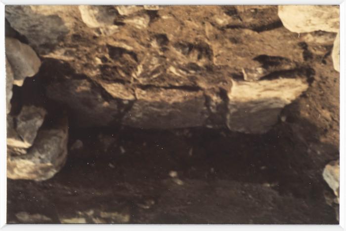 A Photograph of Tell Balata Archaeological Park, 1994
