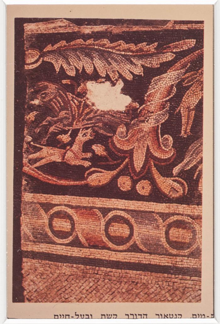 صورة من موقع تل بلاطة الأثري، 1994