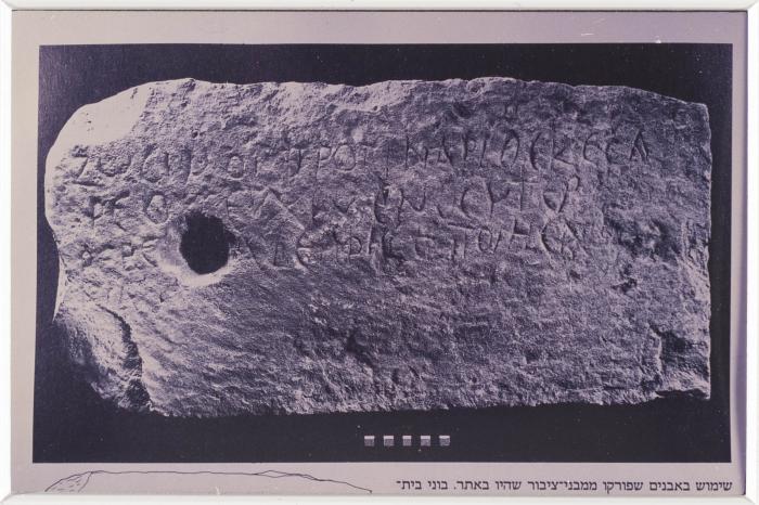 صورة من موقع تل بلاطة الأثري، 1994