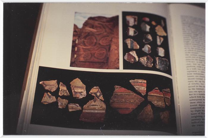 A Photograph of Tell Balata Archaeological Park, 1994
