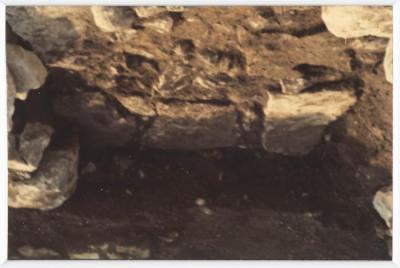 A Photograph of Tell Balata Archaeological Park, 1994
