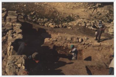 A Photograph of Tell Balata Archaeological Park, 1994
