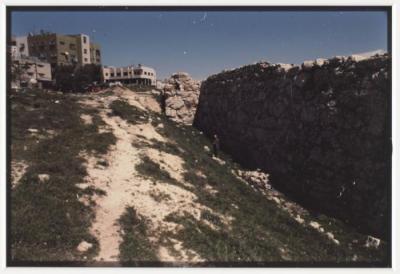 A Photograph of Tell Balata Archaeological Park, 1994
