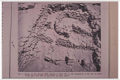 A Photograph of Tell Balata Archaeological Park, 1994
