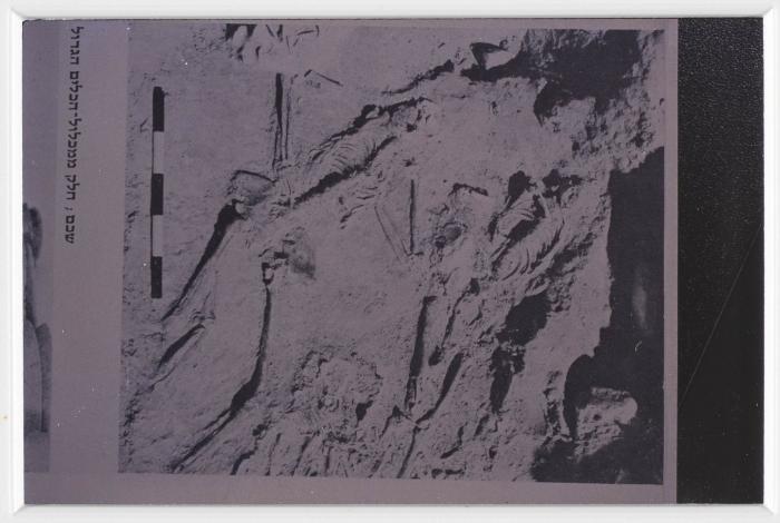 A Photograph of Tell Balata Archaeological Park, 1994
