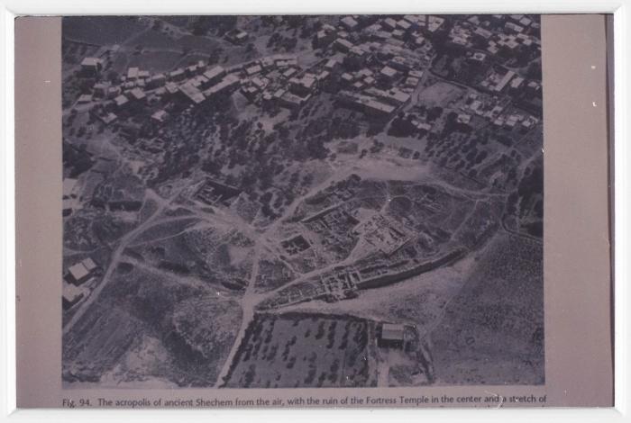 صورة من موقع تل بلاطة الأثري، 1994