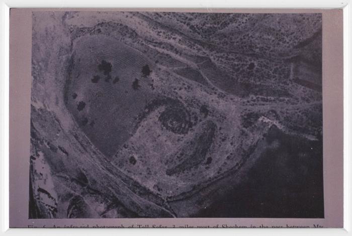 صورة من موقع تل بلاطة الأثري، 1994