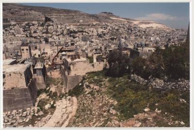 The Roman Auditorium in the City of Nablus   