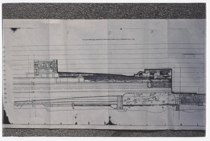 صورة من موقع تل بلاطة الأثري، 1994