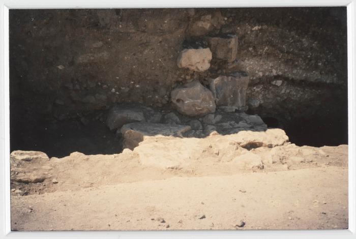 A Photograph of Tell Balata Archaeological Park, 1994
