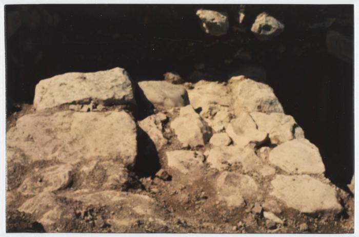 صورة من حديقة تل بلاطة الأثري، 1994