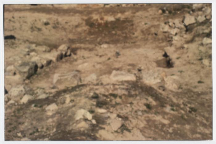A Photograph of Tell Balata Archaeological Park, 1994
