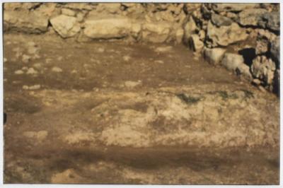 صورة من حديقة تل بلاطة الأثري، 1994