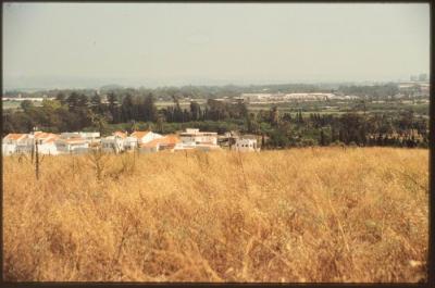 A Photograph of the Lands Surrounding the Occupied City of Acre in the 1990s