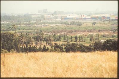 A Photograph of the Lands Surrounding the Occupied City of Acre in the 1990s