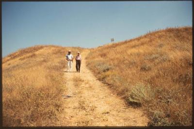 A Photograph of the Lands Surrounding the Occupied City of Acre in the 1990s