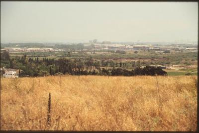 A Photograph of the Lands Surrounding the Occupied City of Acre in the 1990s