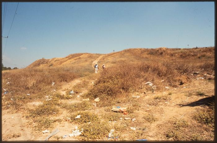 A Photograph of the Lands Surrounding the Occupied City of Acre in the 1990s