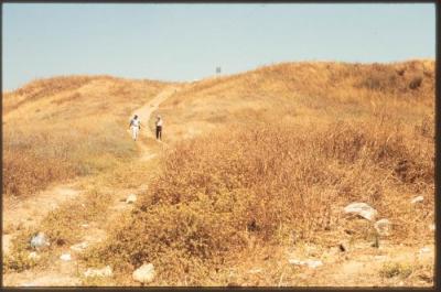 A Photograph of the Lands Surrounding the Occupied City of Acre in the 1990s