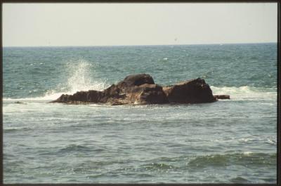 A Photograph of a Side of Acre Coast 