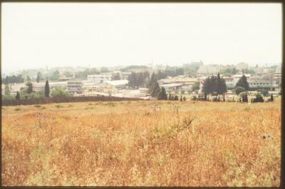 A Photograph of the Lands Surrounding the Occupied City of Acre in the 1990s