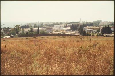 A Photograph of the Lands Surrounding the Occupied City of Acre in the 1990s