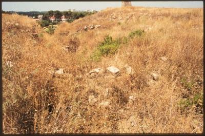 A Photograph of the Lands Surrounding the Occupied City of Acre in the 1990s
