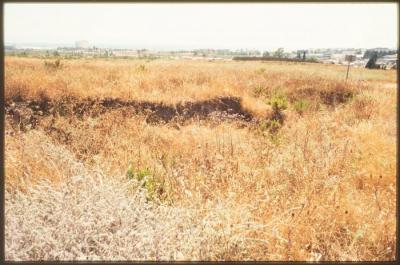 A Photograph of the Lands Surrounding the Occupied City of Acre in the 1990s