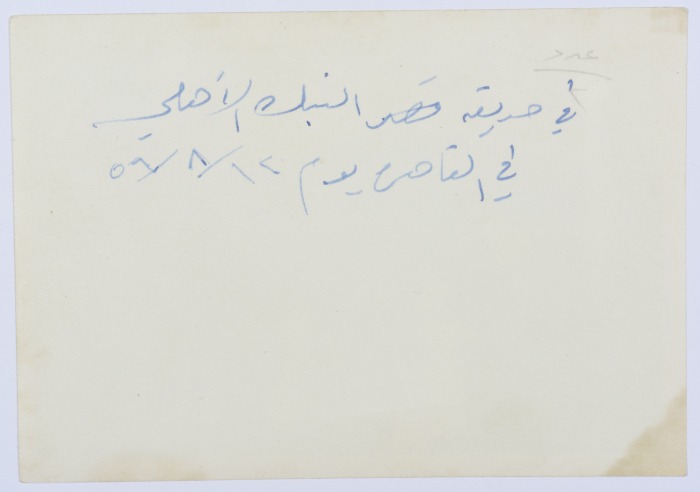 صورة لفتيات، القاهرة، 1956