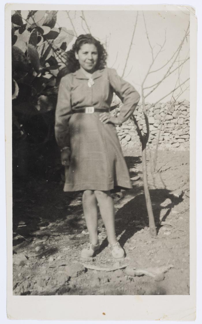 دلال نقولا البجالي، 1946