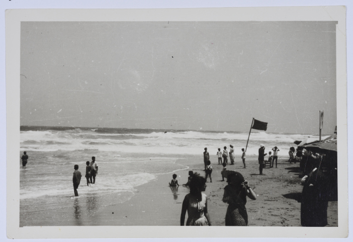 A Photograph of Girls, Alexandria